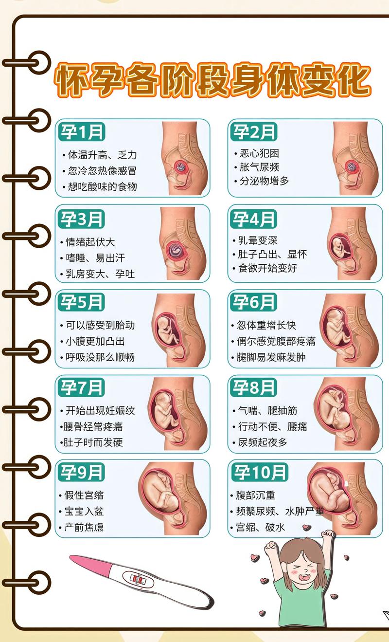 揭秘供卵代孕妈妈怀孕小腹分两节，孕期变化的奥秘玉溪代生机构: