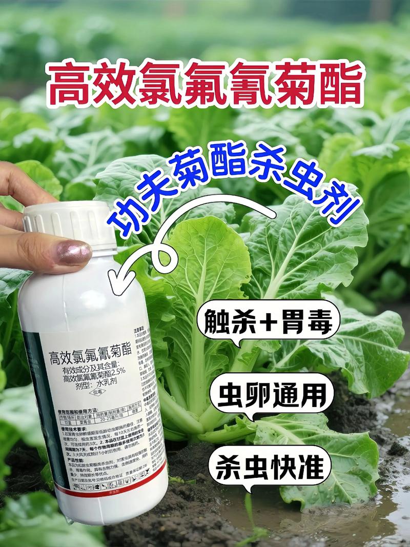 玉溪代生中心:农药对供卵代生妈妈的危害